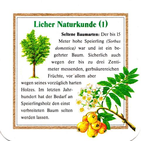 lich gi-he licher naturkunde 1b (quad185-speierling 1)